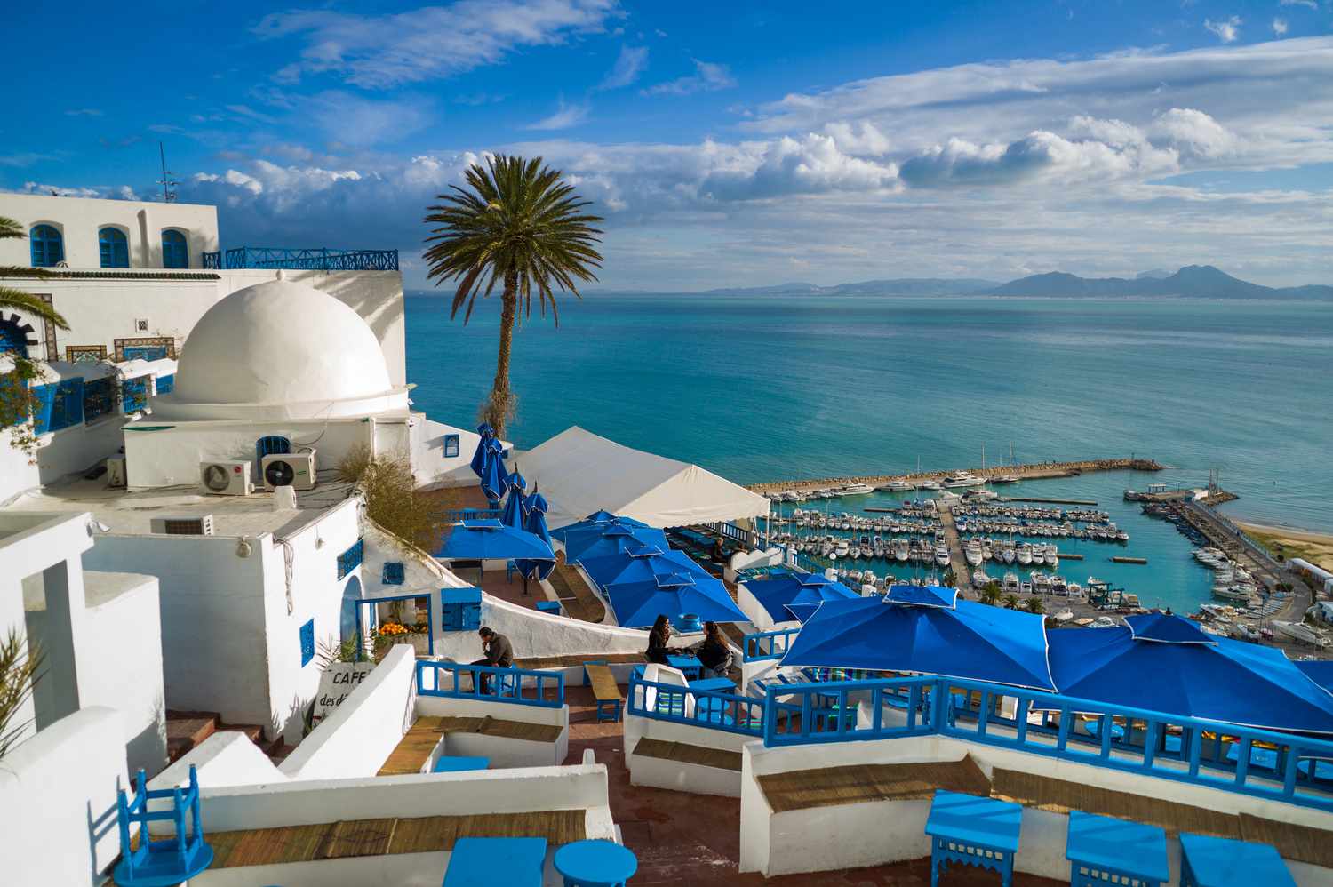 Scenic view of white and blue buildings in Sidi Bou Said overlooking the Mediterranean