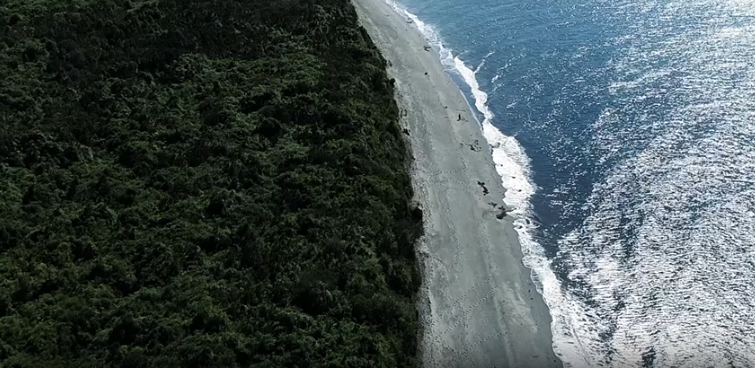 Beach Access