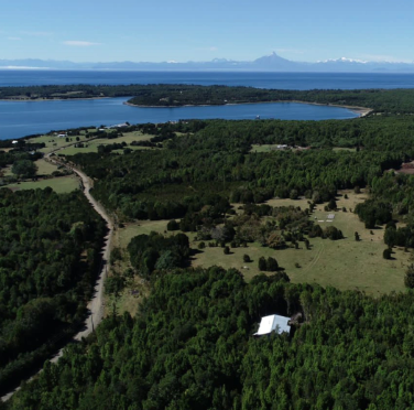 Adelia Section Bay