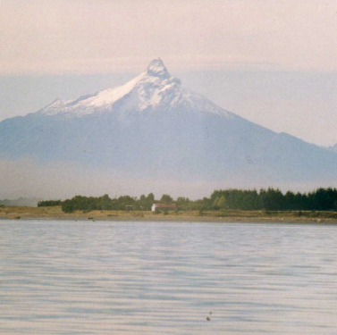 Pablo Section Forest