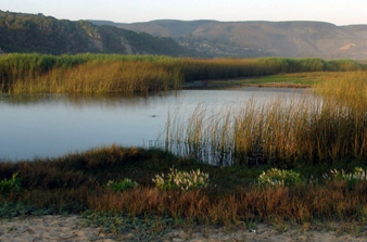 Tunquén Wildlife Sanctuary