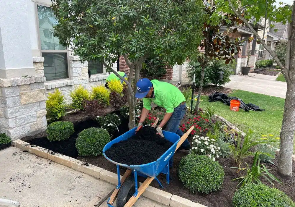 mulching installation fresh mulch landscape beds hardwood bark cedar dyed mulch pine straw rubber mulch rock gravel bed edging clean borders before after curb appeal weed suppression 3 inch depth