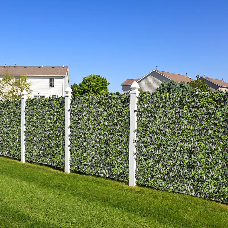privacy hedge cost guide living fence screening plants evergreen hedge arborvitae emerald green leyland cypress privet laurel cherry skip boxwood holly bamboo clumping yew linear foot cost 15 to 75 per foot mature hedge instant privacy setback 2 to 5 feet drip irrigation mulch spacing zigzag planting sound barrier double row security hedge landscaping installation