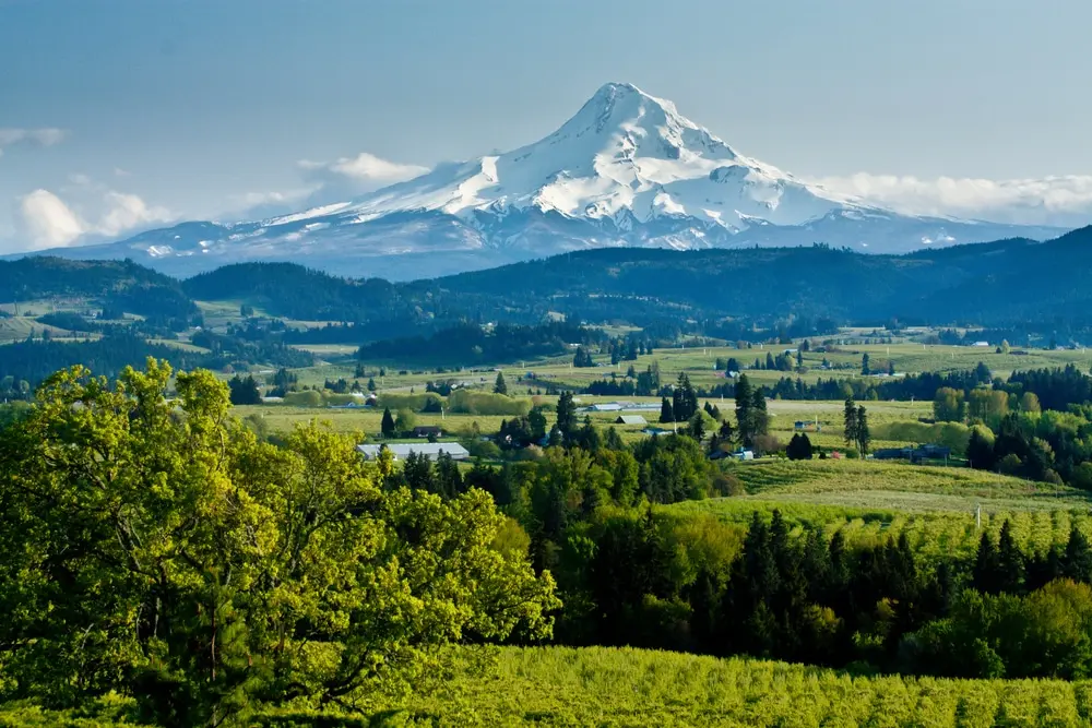 Willamette Valley wine country and McMinnville Oregon