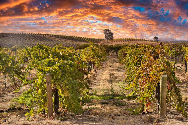 Paso Robles wine country real estate investment