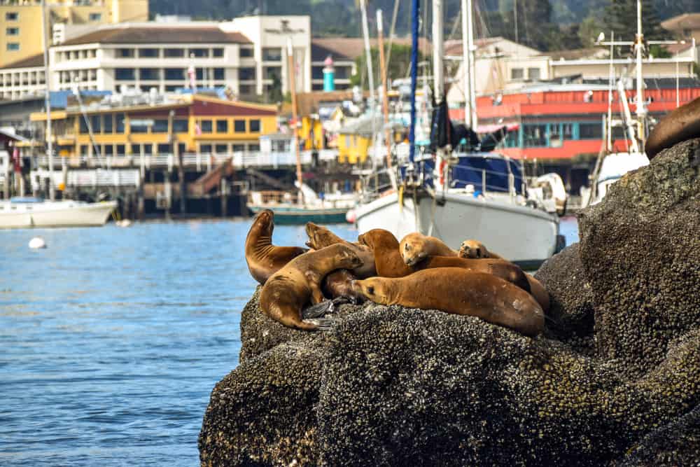 Salinas Monterey Central Coast California
