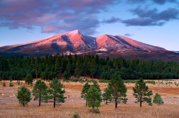 Flagstaff Arizona mountain town with ponderosa pines and San Francisco Peaks