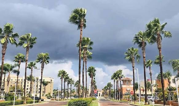 McAllen Texas Rio Grande Valley commercial district
